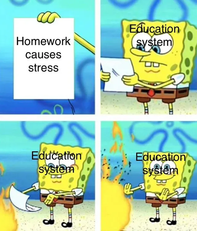 homework causes stress