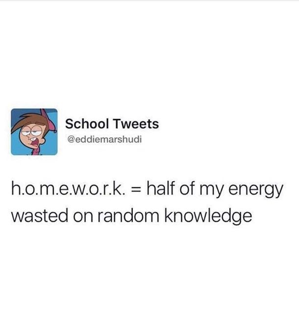 what does homework means